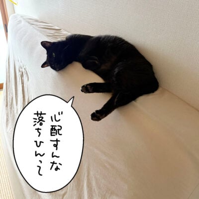 立てかけたベッドの上で寝る黒猫ナノ1