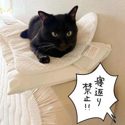 立てかけたベッドの上で寝る黒猫ナノ2