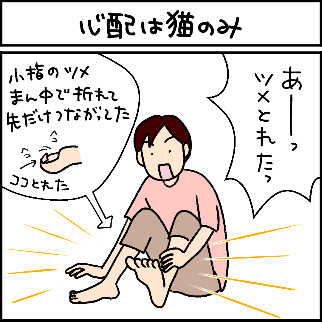 ねこ漫画