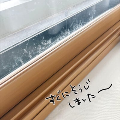 猫のくしゃみによって汚れた窓ガラス
