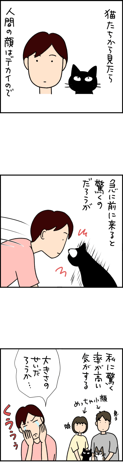 猫漫画