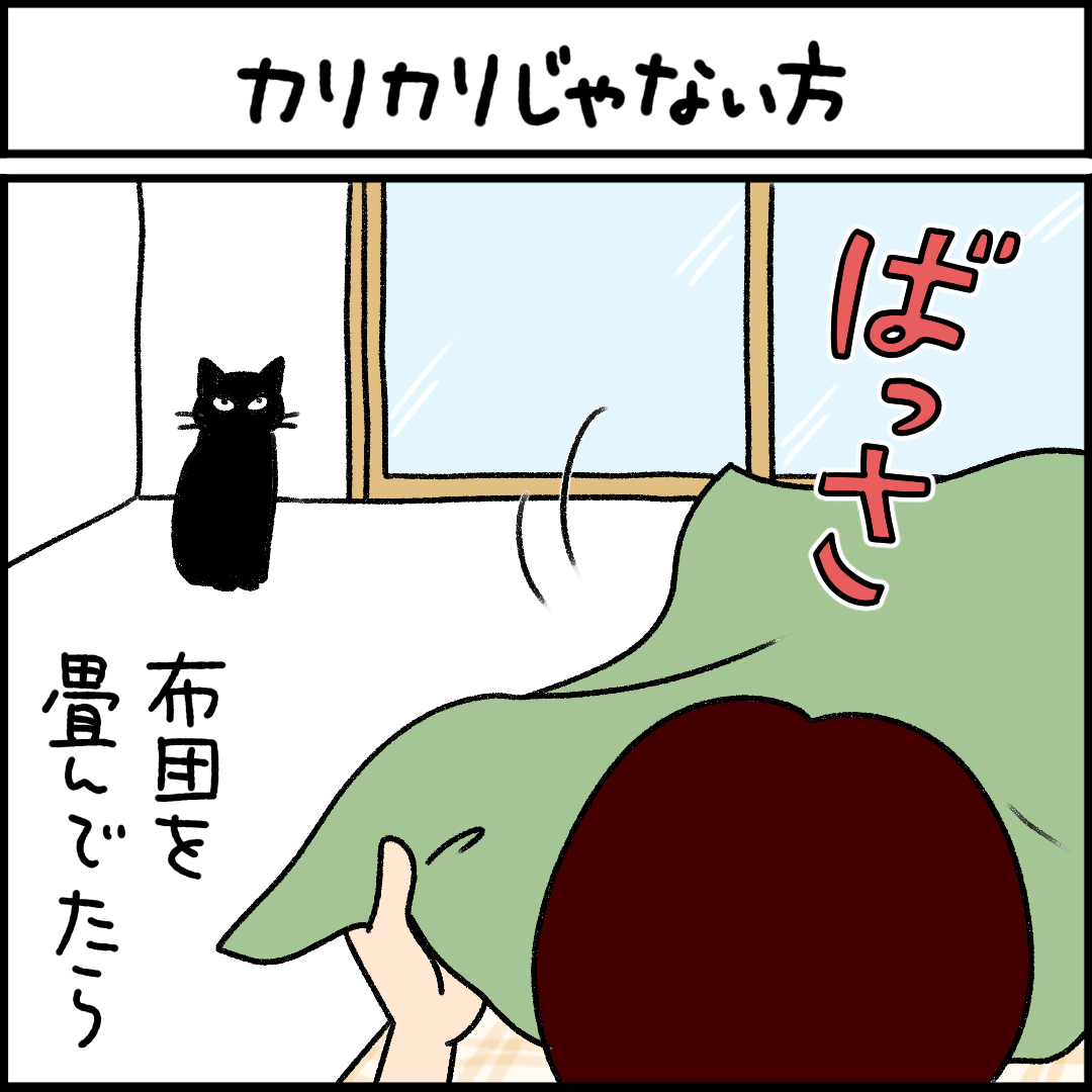 ねこ漫画