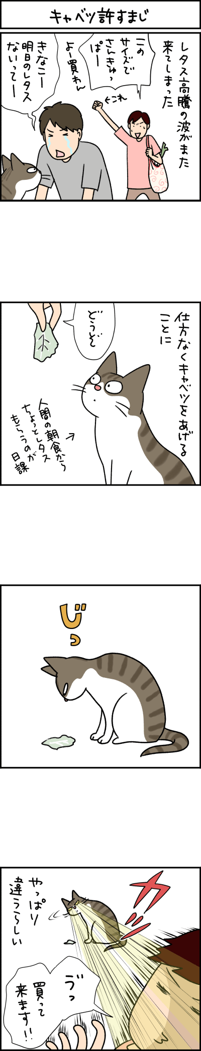 猫漫画