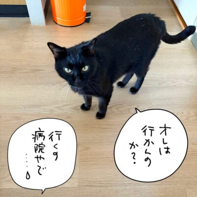 黒猫ナノ